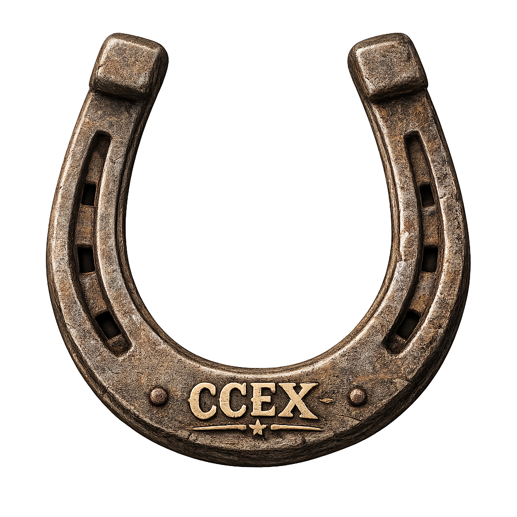 Decorative horseshoe